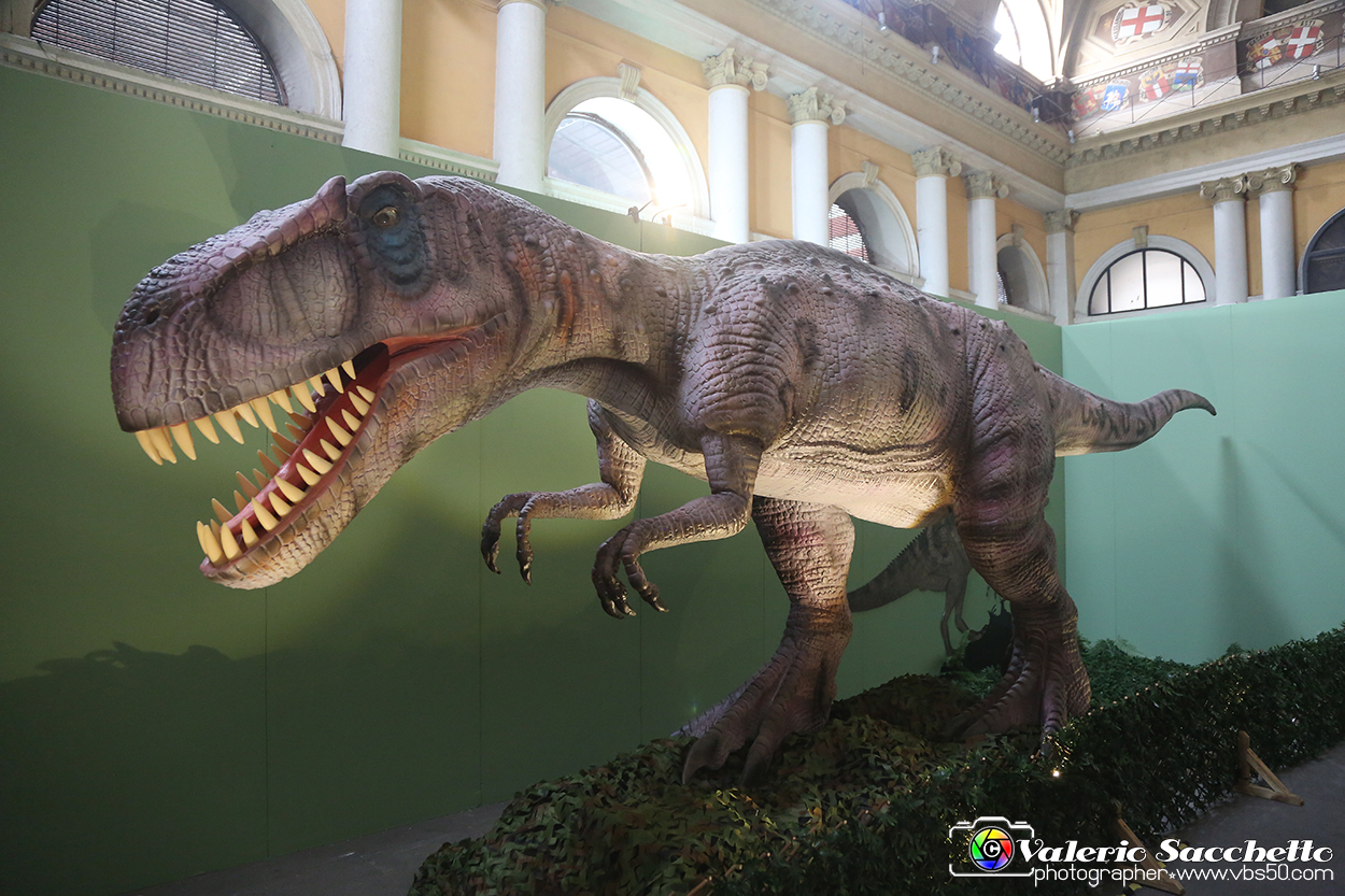 VBS_0969 - Dinosauri. Terra dei giganti.jpg